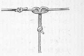 Loop knot for drop flies from a fishing knot reference illustration